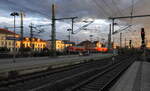 Blick auf das westliche Gleisvorfeld Dresden Neustadt. 15.09.2022 19:10 Uhr.