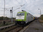 Gleich drei Privatbahnlok`s am Bahnsteig in Mukran Mitte am 14.Oktober 2016.Die Drei Lok`s waren die CAPTRAIN 185 580,die Class 66 3 650 005 und die Schweizer 482 041.