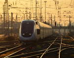 Im Licht der untergehenden SOnne fährt TGV 4701 in Frankfurt ein.