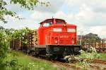 29.05.2006 345 119 Hagenow Stadt - Natur pur