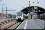 1442 160 und 1442 ??? (Bombardier Talent 2) der S-Bahn Mitteldeutschland (MDSB II | DB Regio Südost) als S 37866 (S8) nach Dessau Hbf stehen in ihrem Startbahnhof Halle(Saale)Hbf auf Gleis 11