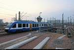 Nachschuss auf 648 ??? (Alstom Coradia LINT 41) von Transdev Sachsen-Anhalt (HarzElbeExpress) als HEX80536 (HEX 24) nach Halberstadt, der seinen Startbahnhof Halle(Saale)Hbf auf Gleis 12 D-F verlässt. [25.3.2018 | 18:52 Uhr]