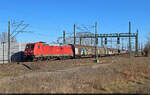 185 392-8 führte einen gemischten Güterzug Richtung Zugbildungsanlage (ZBA) Halle (Saale) an. Wenige Meter vor dem Ziel gelang ein Schuss der Leistung vom Bahnsteig 12/13 in Halle(Saale)Hbf.

🧰 DB Cargo
🕓 19.3.2025 | 14:50 Uhr