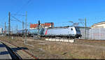 186 382-8 unterwegs mit Kesselwagen auf den Gütergleisen neben Halle(Saale)Hbf in südlicher Richtung.

🧰 Akiem S.A.S., vermietet an die HSL Logistik GmbH (HSL)
🕓 28.3.2025 | 14:38 Uhr