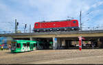 Verkehr auf zwei Ebenen: W�hrend auf Gleis 1 von Halle(Saale)Hbf 143 168-3 auf das Rangiersignal wartet, f�hrt unterhalb Duewag/Siemens MGT6D, Wagen 627, in die Haltestelle ein.
Wenige Stunden sp�ter verunfallte die  �SA -Stra�enbahn stark: Sie stie� in Halle-Neustadt mit einem unternehmenseigenen Bus zusammen. Die Reparatur dauerte mehrere Wochen.

🧰 DB Gebrauchtzug (DB Regio S�dost) | Hallesche Verkehrs-AG (HAVAG)
🚋 Linie 9 G�ttinger Bogen–Hauptbahnhof
🕓 29.4.2025 | 12:37 Uhr