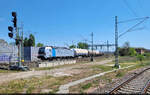 6193 088-2 (Siemens Vectron) kesselt �stlich des Bahnsteigs 12/13 von Halle(Saale)Hbf Richtung Zugbildungsanlage (ZBA).

🧰 Railpool GmbH, aktueller Mieter unbekannt
🕓 2.5.2025 | 13:16 Uhr
