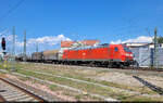 185 200-3 zieht einen Gemischtwarenladen aus der Zugbildungsanlage (ZBA) Halle (Saale) gen S�den und wurde vom Bahnsteig 12/13 in Halle(Saale)Hbf beobachtet.

🧰 DB Cargo
🕓 2.5.2025 | 13:29 Uhr