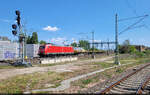 Hinter vielen, vielen Flachwagen kommen noch Kesselwagen: Interessanter gemischter G�terzug mit 185 111-2 erh�lt Einfahrt in die Zugbildungsanlage (ZBA) Halle (Saale) und wird vom Bahnsteig 12/13 in Halle(Saale)Hbf verewigt.

🧰 DB Cargo
🕓 2.5.2025 | 14:18 Uhr