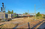 Ein nordw�rts fahrender Kesselzug mit 6193 724-2 (Siemens Vectron) sollte das letzte Fotomotiv des Tages von den G�tergleisen in Halle(Saale)Hbf werden.
Mit im Foto: der Schatten des Erstellers, der auf Bahnsteig 12/13 stand.

🧰 ELL Austri ...