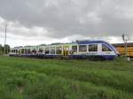 Harz Elbe Express unterwegs nach Halberstadt am 12.05.2013 in Halle Trohta