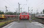 DB 218 839-9 am 22.05.2024 in Hannover Hbf.