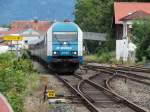 Netinera ALEX 223 062 fährt mit dem ALEX Süd aus München am 16.08.14 in Immenstadt ein  