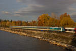 223 067 erreicht über den Bahndamm Lindau. 30.10.20