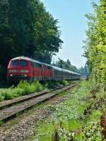 218 163 und 218 343 fahren am 20.8.2008 mit IC 118 aus Lindau Hbf aus und passieren soeben das Blocksignal am Abzw.