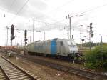 Im Mannheimer Hbf. am 14.07.2012 abgestellt 185 684-8.