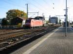 185 015-7 mit einem gemischten Gterzug aus Hamburg kommend, bei der Durchfahrt durch den Bahnhof Neumnster nach Kiel am 09.10.2008