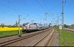 Die IC2-Garnitur  Nationalpark Nieders�chsisches Wattenmeer , angef�hrt von 146 553-3, rauscht durch den Bahnhof Niemberg.
Gesehen vom Bahnsteigende.

🧰 DB Fernverkehr
🚝 IC 2443 (Linie 55) K�ln Hbf–Dresden Hbf [+5]
🕓 6.5.2025 | 12:52 Uhr
