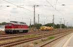 Schn das es den Gterbahnhof Oranienburg noch gibt, so am 19.08.2013.
232 550-4 der DGT, Stopfmaschine und Schotterprofiliermaschine der STRABAG und ganz im Hintergrund das Stellwerk BOR.
