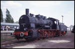 1000 Jahr Feier der Stadt Potsdam am 20.5.1993: Güterzug Dampflok 573297