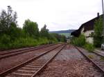 Verkrautetes Bahnhofsgelnde im Bahnhof Grnstdtel. 22.06.06 Hier lag einst der Ausgangspunkt der Schmalspurbahn nach Rittersgrn wo sich heute das schsische Schmalspurmuseum befindet und welches durchaus einen Besuch wert ist. 