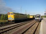 BR 229-147-4 brachte am 16.09.2010 einen Bauzug mit einem Eisenbahndrehkran nach Rathenow zur Abstellung whrend VT 560 der Mrkischen Regiobahn auf Ausfahrt nach Brandenburg HBF wartet.