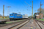 Press 155 204 mit Wasserglaszug in Riesa.