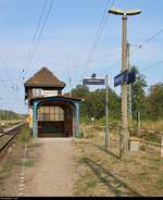 Verfall im Bahnhof Meinsdorf mit mehr oder weniger grünem Bahnsteig, viel Unkraut und alten Gleisanlagen.