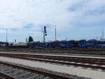 DB Cargo, 077 033-4 ( 9287 0077 033-4 D-DB ) bringt am 13.6.2026 einen Autozug nach Schwandorf