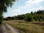Wo einst 4 berdachte Bahnsteige die Pendler vor Unwetter schtzten ist heute nur noch Wald brig.