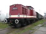 Im Eisenbahn und Technikmuseum Schwerin bei einer Ausstellung steht  V 100 143 mit historischen Wagen am 29.09.2007