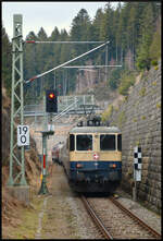Nachschuss auf die schweizerische Elektrolokomotive IRSI 421 387 mit dem Sonderzug DZ 13401 Seebrugg - Zürich am 28.02.2026 bei der Abfahrt in Seebrugg (Schwarzwald).