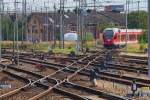 Zahlreiche Doppelkreuzungsweichen (hier neun) auf dem Bahnhof Stralsund.