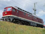 EBS 142 001 auf dem Abstellgleis,in Stralsund R�gendamm,am 02.Juni 2026.