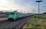 Die grüne DEVK 101 005-7 rollt verspätet nach Stuttgart hinein – hier im Bahnhof Stuttgart-Zuffenhausen.