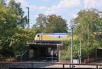 Metronom auf der Brücke, umgeben vom Grün:  Verdeckter Blick auf 146 516-0 der Metronom Eisenbahngesellschaft mbH als RE 82123 (RE3) nach Hannover Hbf, der seinen Startbahnhof Uelzen auf