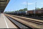 Zahlreiche Kesselwagen der VTG Rail Logistics GmbH, der GATX und der Wascosa AG sind im Bahnhof Villingen(Schwarzw) abgestellt.