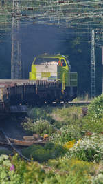 Nachschuss auf den von der Captrain-Diesellokomotive 401 gezogenen Güterzug in Wanne-Eickel.