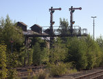 Neben der Schmalspurbahn scheint es nun in Zittau auch eine  Waldbahn  zu geben,zum Glück befinden sich die Signale auf einer Signalbrücke, sonst wär das Signalbild Hp0 bald nicht mehr