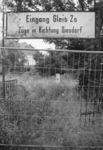 Das Gleis 2s und somit der gesamte Salzwedeler Kleinbahnhof war am 23.08.2002 von der Natur zurckerobert und der Zugang dorthin abgesperrt, nachdem am 31.12.1995 der letzte Zug auf der Strecke