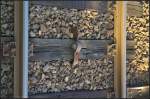 Schwellenklammer bei Holz- wie Betonschwellen am 11.08.2014 in Bernau-Friedenstal gesehen. Wozu dienen diese Klammern? (Aufnahme vom Bahnsteig gemacht, Bild ist nicht gedreht)