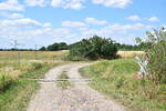 Blick auf den bahnübergang Sienauer Weg bei Salzwedel an der Strecke Salzwedel - Oebisfelde. Seit 2012 ist hier kein Zug mehr gefahren und die Strecke ist an den meisten Stellen zugewachsen und in einem bedauernswerten Zustand.

Salzwedel 16.07.2023