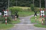 Seit ber 30 Jahren sichern diese Warnkreuze mit Blinklicht  den Bahnbergang im Triebischtal an der Strecke Meien-Nossen.