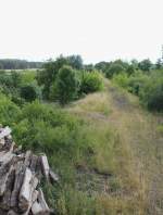 21.6.2015 Bahndamm zwischen Oderberg und Oderberg Bralitz, Blickrichtung Süd