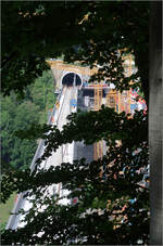Die Filstalbahnbrücke - 

... der Neubaustrecke Stuttgart - Ulm. Durchblick zwischen den Zweigen auf die bergwärts führende Brücke mit dem Portal des Boßlertunnels im Hintergrund.

10.08.2010 (M)