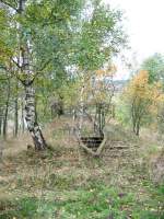 Auf dem Widerlager der Scheibenberger Seite des Schlangenbachtalviaduktes sind sogar noch die Leitschienen vorhanden.