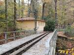 Das Flügelsignal für die Einfahrt der Parkeisenbahn Gera in den Bf Wolfsgehege, am 31.10.2025.