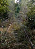 29.09.2012  08:38 Uhr Die Natur erobert den Bahnkrper zurck.