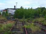 Die Natur erobert sich das Gelnde des ehemaligen BW Aachen West zurck.