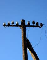 Die Stillegung der Strecke  ist natrlich auch das Ende fr die Fernsprechleitung, auch wenn die Holzmasten oft noch ber Jahre stehen.