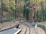 Das Flügelsignal für die Ausfahrt der Parkeisenbahn Gera, am 31.10.2025 im Bahnhof Martinsgrund.